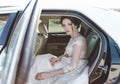 Beautiful bride with dark hair in elegant wedding dress, posing Royalty Free Stock Photo