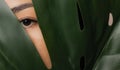 Fashion photo natural cosmetics, eye lashes Asian young girl looks through green monstera leaf Royalty Free Stock Photo