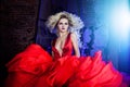 Fashion photo of young magnificent woman in red dress. Studio portrait Royalty Free Stock Photo