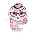 Fashion Portrait of Hipster Cat in Big Glasses,scarf and hat,han