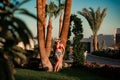 Fashion portrait of sexy woman posing near palm trees on the hotel Royalty Free Stock Photo