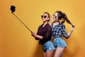 Fashion portrait of two friends posing. Royalty Free Stock Photo