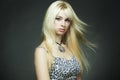 Fashion portrait of the young blonde woman Royalty Free Stock Photo