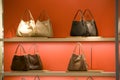 Fashion purse handbag Store