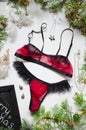 Fashion red panties and bra set as a Christmas gift on the white