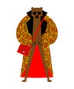 Fashion Russian Bear. trendy beast model. Folk Fashionable Russia. Cool fashion-monger animal. Hipster traditional costume