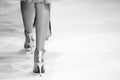 Fashion Show themed photo Royalty Free Stock Photo