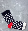 Fashion socks on gray background