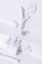 Fashion still life winter scene. White painted palm leaf and brunch. Minimal stylish snow winter cold design. White aesthetic