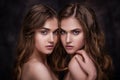 Fashion studio picture of two twins beautiful women.