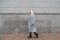 Fashion style portrait of young beautiful elegant woman in gray fur coat walking at city street Royalty Free Stock Photo