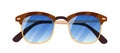 Fashion sunglasses. Stylish summer sun glasses with thick browline. Modern beach eyewear design. Pair of women Royalty Free Stock Photo