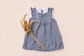 Fashion trendy look of baby girl clothes and toy stuff. Baby fashion concept Royalty Free Stock Photo