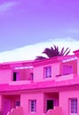 Fashion tropical location. Creative Pink hotel, Palm. Canary islands. Travel advertising stylish wallpaper