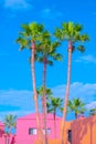 Fashion tropical location. Palm, Blue summer sky. Canary islands. Travel advertising banner wallpaper