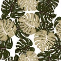 Fashion tropical seamless pattern with monstera leaves isolated on white background