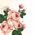 Fashion vector background with roses in vintage style Royalty Free Stock Photo