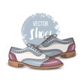 Fashion vector color womens shoes.