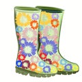 Fashion vector illustration with rubber green boots decorated with flowers Royalty Free Stock Photo
