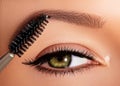 Fashion woman applying eyeshadow, mascara on eyelid, eyelash and eyebrow using makeup brush. Professional make-up artist Royalty Free Stock Photo