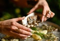 Fashion woman hands with expensive gold rings take oyster