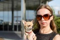 Fashion woman in sunglasses with small chihuahua in hands Royalty Free Stock Photo