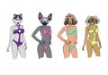 Fashion women models with animal heads in swimsuits set. Modern clothes.