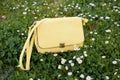 Fashion yellow bag surrounded by daisies Royalty Free Stock Photo