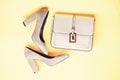 Fashionable accessories concept. Footwear for women with thick high heels and bag, top view. Pair of fashionable high