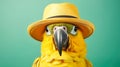 Fashionable portrait of a pet animal yellow parrot wearing a hat