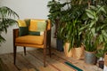 Fashionable armchair with plants Royalty Free Stock Photo