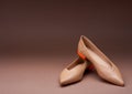 ballerina shoes with pointed toes and low bright orange heels isolated on a gradient brown background