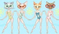 Fashionable beach girls - cats in swimsuits. Seamless border