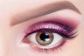 Fashionable bright eye make up close-up. Female eye with pink violet shadows and false eyelashes, macro Royalty Free Stock Photo