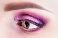 Fashionable bright eye makeup close-up. Female eye with pink violet shadows and false eyelashes Royalty Free Stock Photo