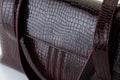 Fashionable brown crocodile leather women\'s handbag
