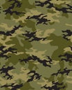 Fashionable camouflage pattern