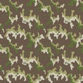 Fashionable camouflage pattern