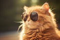 Fashionable Cat stylish glasses. Generate Ai