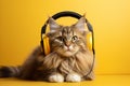 Fashionable cat in wireless headphones, trendy pet on plain background with space for text