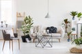 Coffee table in the middle of stylish living room interior with white sofa, urban jungle and grey chair Royalty Free Stock Photo