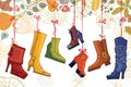 Fashionable colored women's boots,shoes,autumn Royalty Free Stock Photo