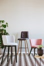 Fashionable colorful chairs in elegant interior with black and white floor