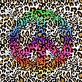 Fashionable colorful seamless backgrounds variation with leopard print and hippie peace symbol. Fashion design for textile, wallpa