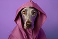 colourful dog fashion concept art latex pet funny animal stylish. Generative AI.