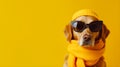 Fashionable dog wearing sunglasses and a yellow scarf