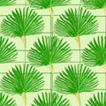 A seamless pattern illustration of palm fronds within a square