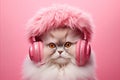 Fashionable feline wearing modern wireless headphones on plain background with empty space for text