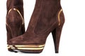 Fashionable female boots Royalty Free Stock Photo