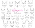 Fashionable female lingerie collection, vector sketch illustration.